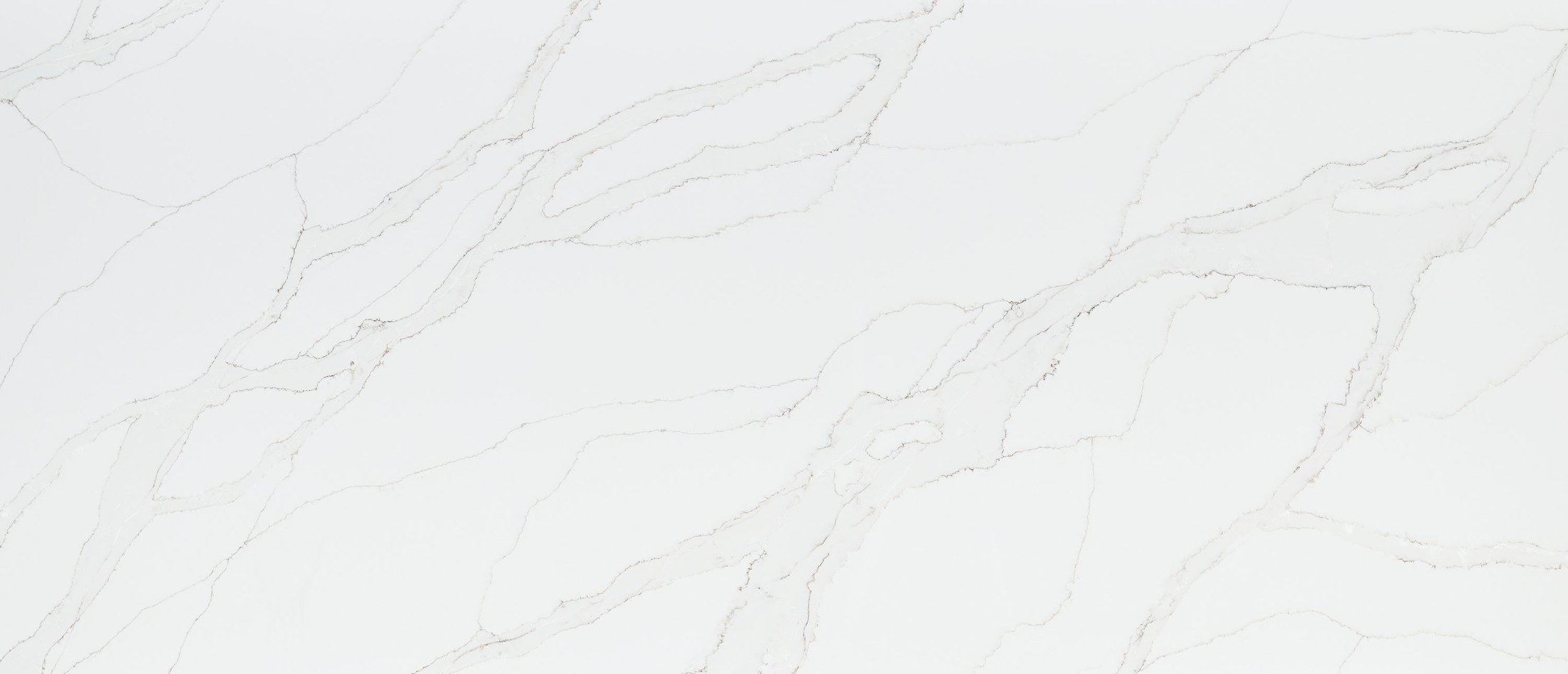 Calacatta Izaro ®