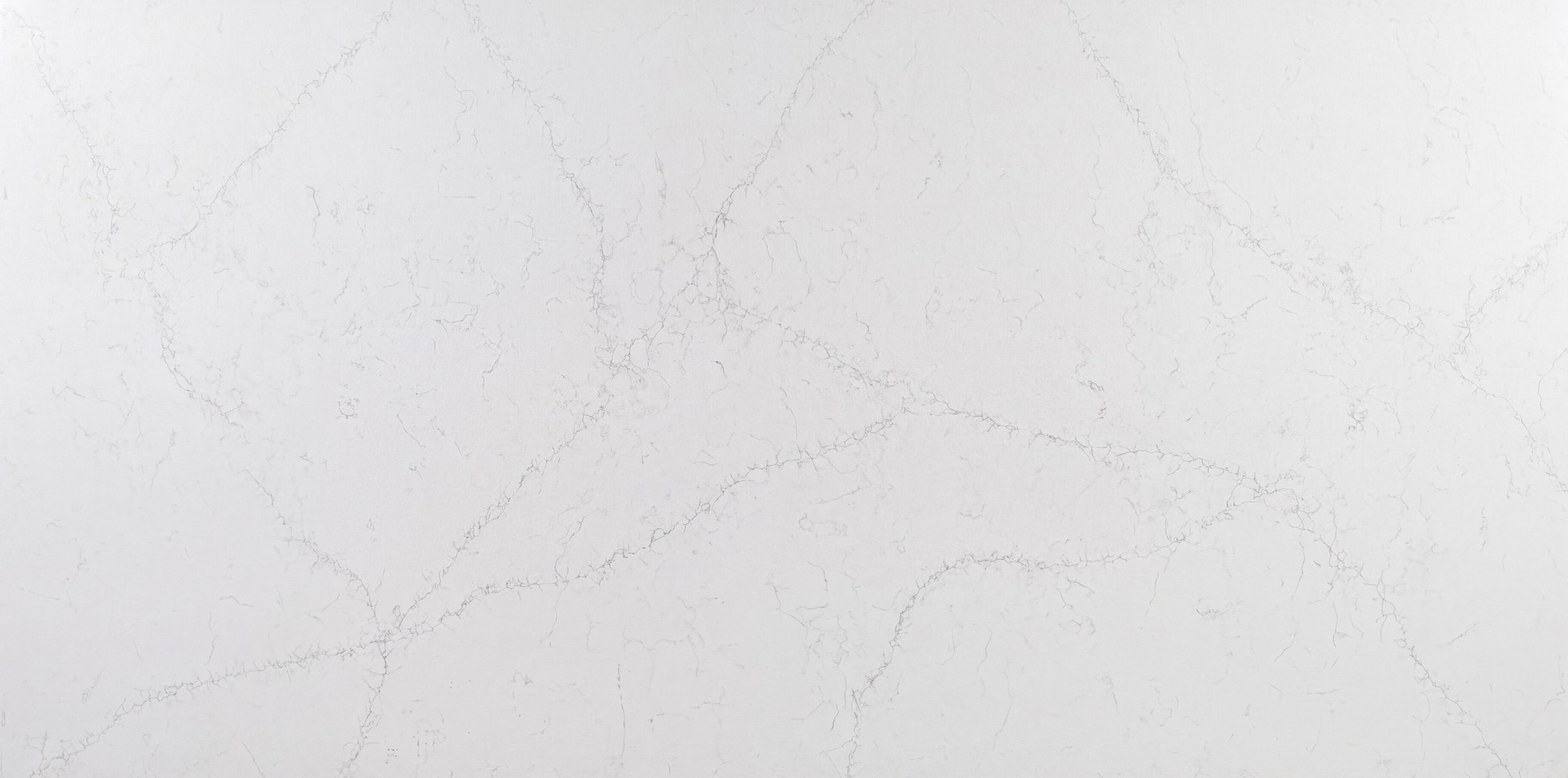 Whitex Perlino (Enigma)