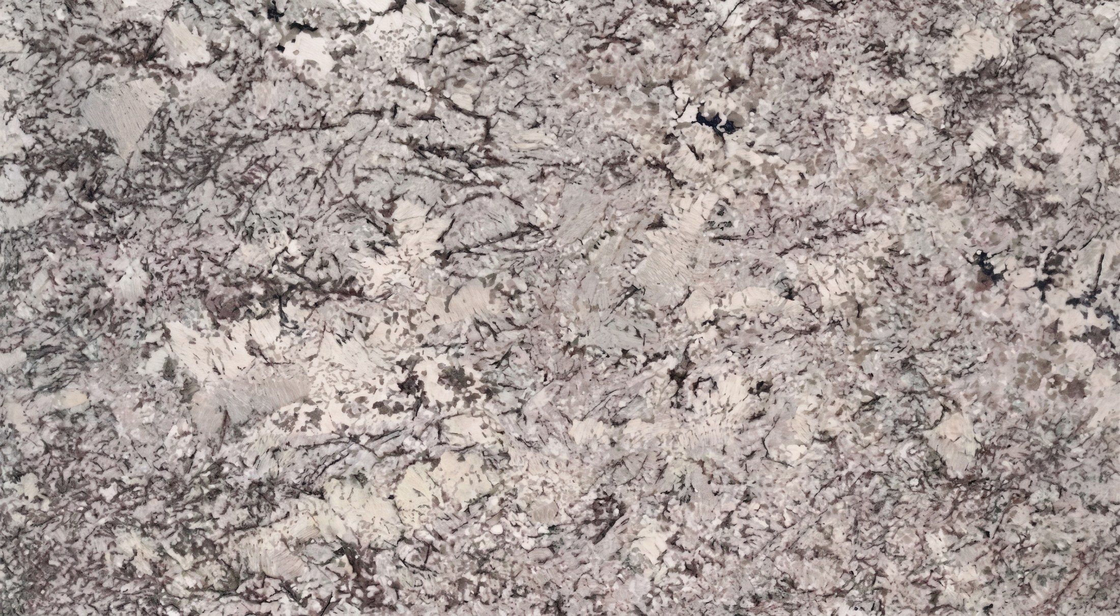 Delicatus White