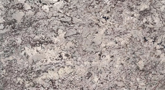 Delicatus White