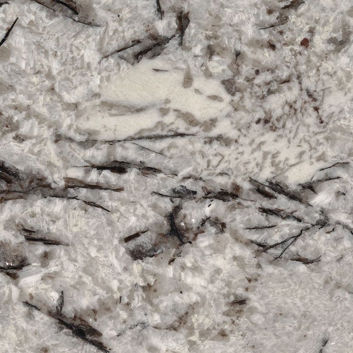 Delicatus White