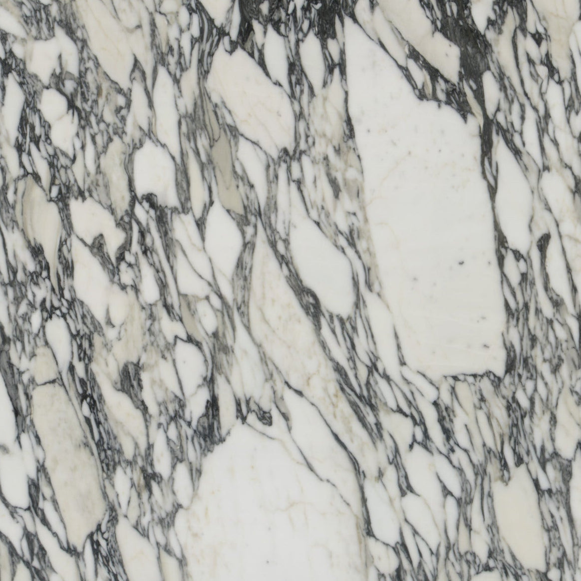 Marble slab with a gray and white pattern on display