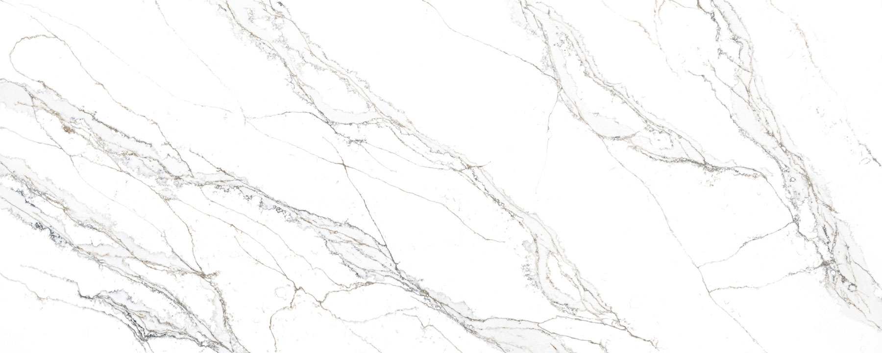 Unique Calacatta Macchia Vecchia