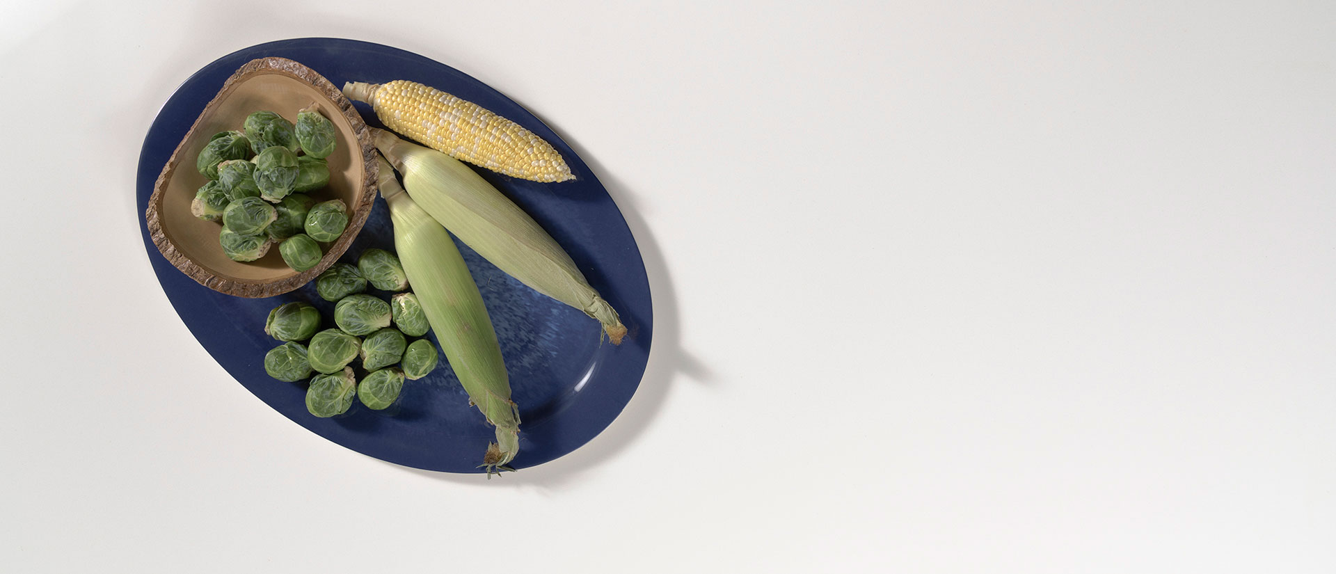 arctic-white-quartz-vignette-2