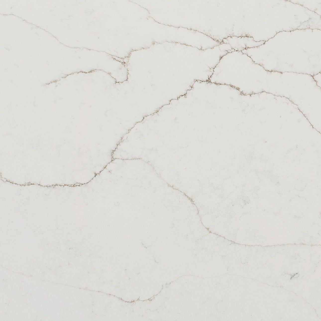 Textured white background with subtle patterns